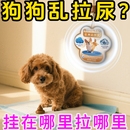 科学诱导排便 狗狗定点上厕所神器狗定点排便神器大小便训练