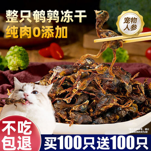 抢！买100只送100只冻干鹌鹑人参
