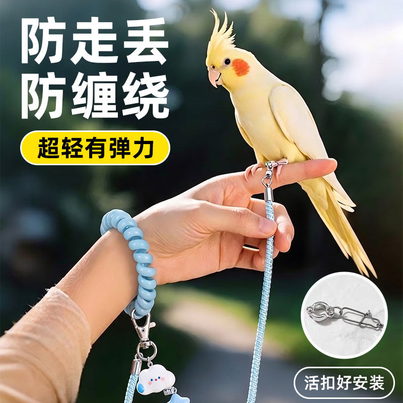 鹦鹉放飞绳牵引绳外出遛鸟神器超