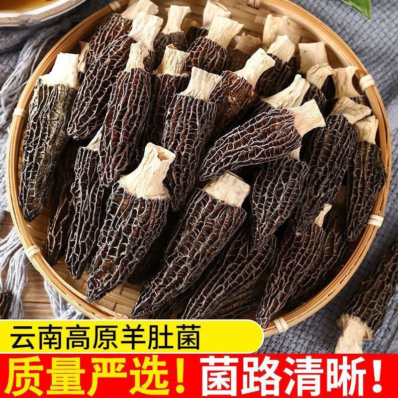 正品云南羊肚菌干货煲汤食材农家批发特产滋补养生净重菌菇干货,粮油调味/速食/干货/烘焙,干货组合/料包/汤包/干货礼盒,淘宝优惠券,粉丝福利购,淘宝优惠卷