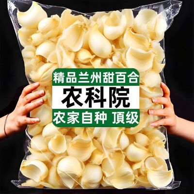 甘肃兰州甜百合干无硫正宗食用人工精选百合干纯天然煲汤煮粥干货