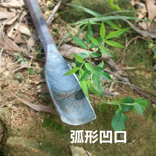 弹簧钢树铲挖洞铲移植锹钢铲挖坑铁锹园艺林工具手工花锹铲尖直锹