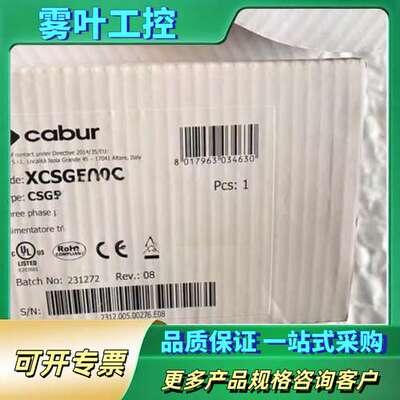 CABUR XCSG481C XCSL3480W024VAA【议价】
