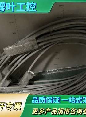 ABB链接线CJGS013 C110475.B01 L0TI【议价】