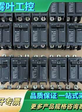GE美国通用2P 15A断路器THQB22015RC 库【议价】