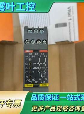 ABB安全VITAL1继电器，型号2TLA020052R10【议价】
