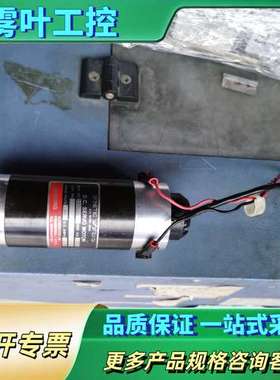 日本DYNETIC SYSTEMS直流电机，的，成色不错【议价】