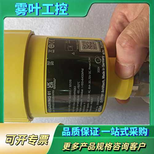 德国VEGA威格VEGASWING 61，型号SWING61【议价】