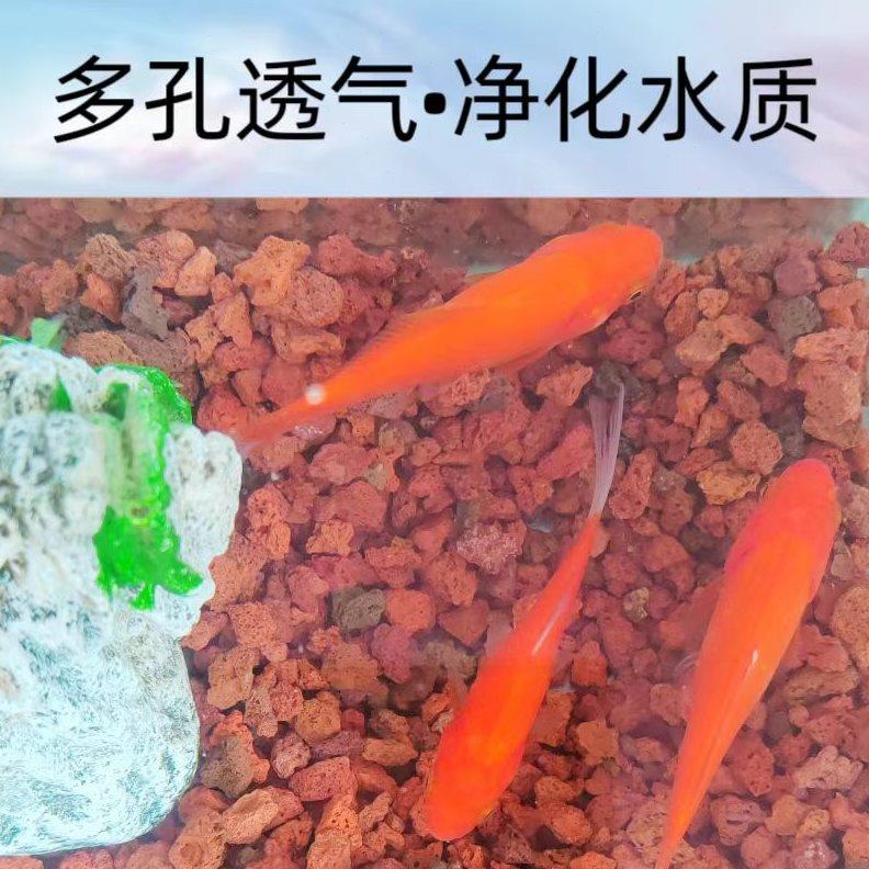 火山石免洗鱼缸净水底砂过滤石头滤材铺底水族专用造景火山石颗粒