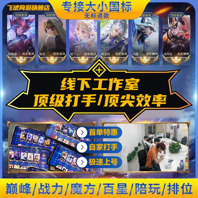 王者荣耀代练代打排位巅峰赛上分玩刷英雄战力送金标省标小国标