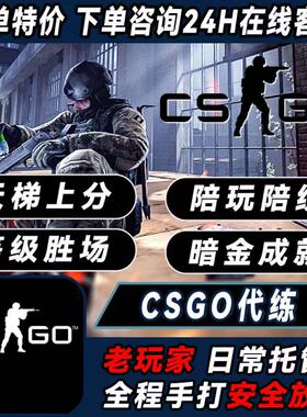 CSGO陪玩陪练代练完美5E上分代打刷代肝激流大行动通行证等级段位