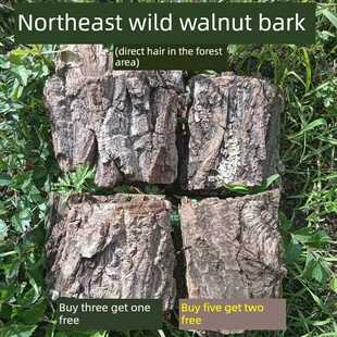 东北长白野生山核桃树皮东北山胡桃皮包邮核桃树枝皮正品秋子树皮