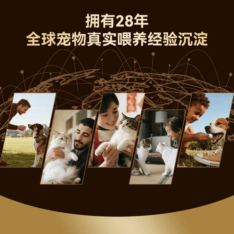 Wanpy顽皮猫全价主食罐鱼肉全期