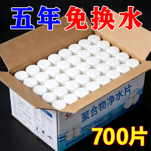 鱼缸高分子化合物净水片去除鱼缸异味净化水质去除腥味鱼缸专用