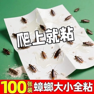 家用蟑螂粘板蟑螂贴厨房餐厅室内全窝端蟑螂贴粘板蟑螂屋防霉防蛀