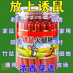 老鼠诱饵捕鼠专用诱饵肠精心研发秘制香味引诱剂捕鼠神器特效粘鼠