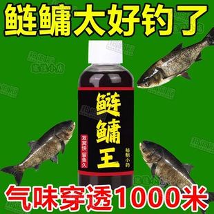 鲢鳙小药鲢鱼花鲢白鲢大头鱼饵料野钓水库鱼饵胖头鱼方块窝料酸臭