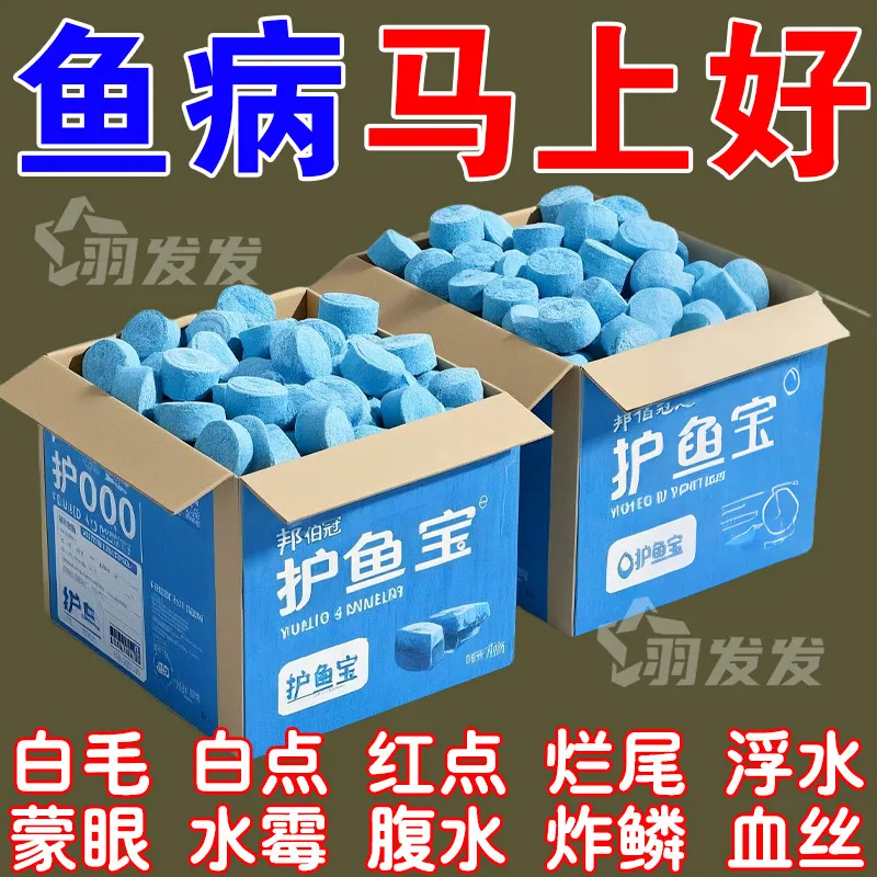 护鱼宝鱼病专用药康复消毒药烂身烂尾白点白毛掉磷蒙眼杀菌颈托,宠物/宠物食品及用品,其他益生菌,淘宝优惠券,粉丝福利购,淘宝优惠卷