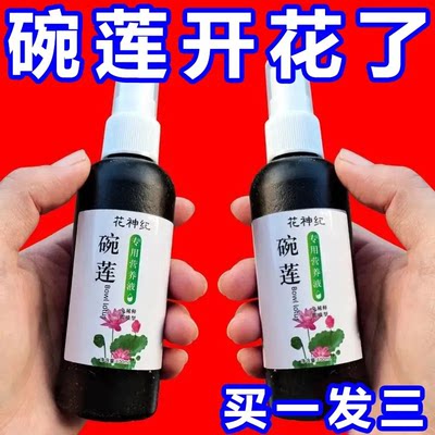 碗莲荷花营养液催芽促开花防黄叶叶面黑烂叶不开花水培绿植通用肥