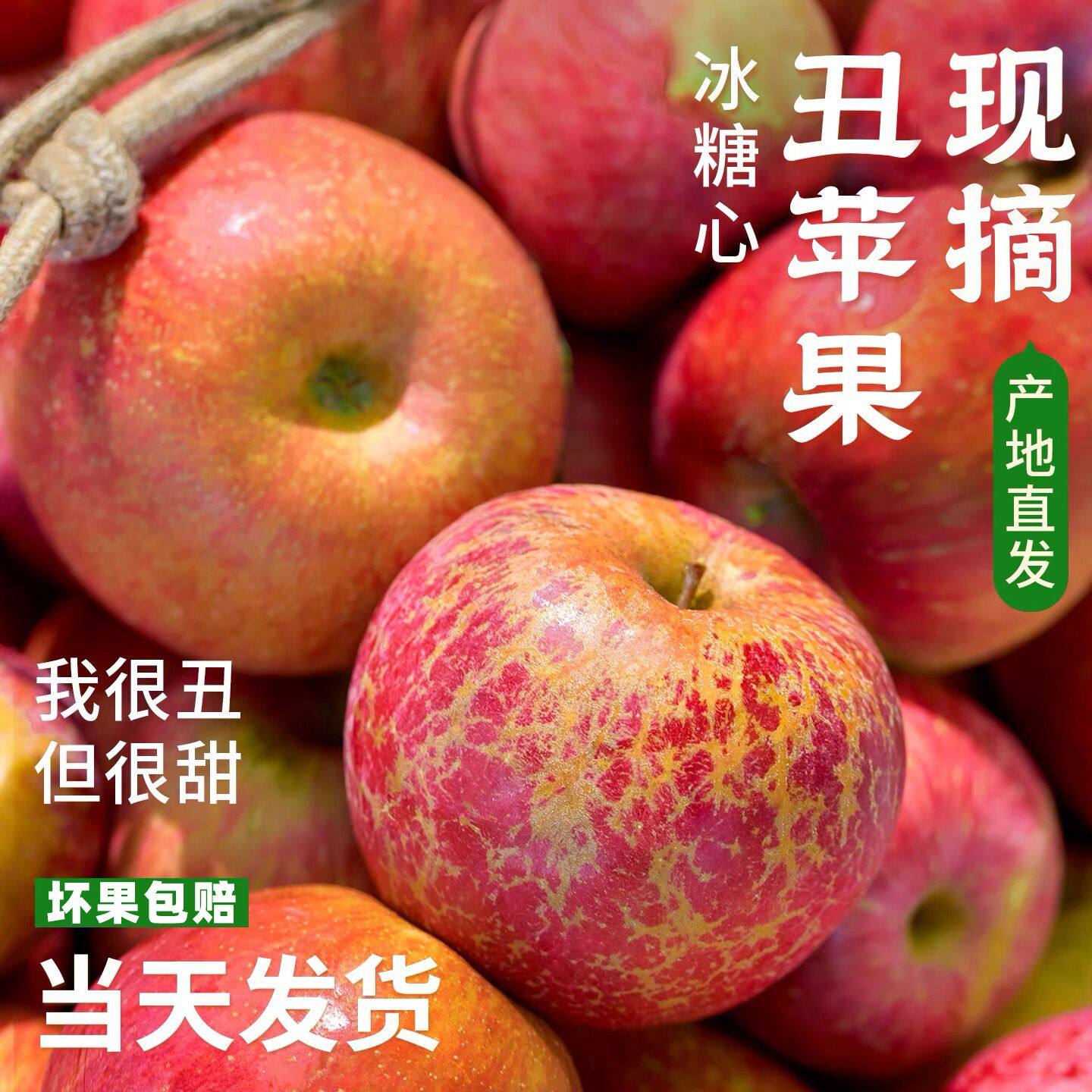 四川丑苹果10斤当季新鲜水果正宗大凉山糖心脆甜红富士萍果整箱5,水产肉类/新鲜蔬果/熟食,苹果,淘宝优惠券,粉丝福利购,淘宝优惠卷