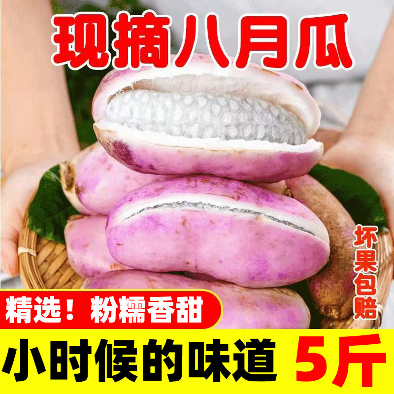 现摘八月瓜新鲜5斤当季孕妇水果野香蕉甜香瓜八月炸特产整箱包邮3