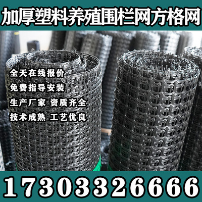 云南双向土工格栅塑料复合钢塑