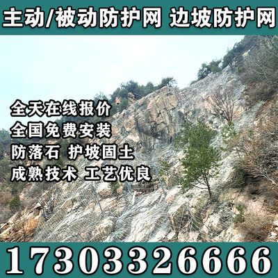 柒梦主动防护网被动环形防护网