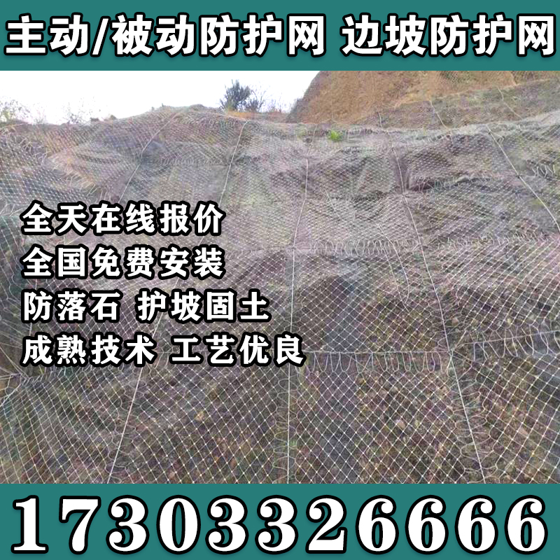主动被动边坡防护网柔性钢丝绳网