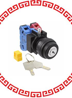 SG-D1-2B11 SWITCH KEYLCK 2POS DPST 10A 110V