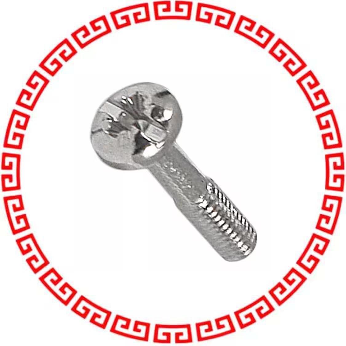 21101101 POZ SCREW M2.5X12.3 100 PCS