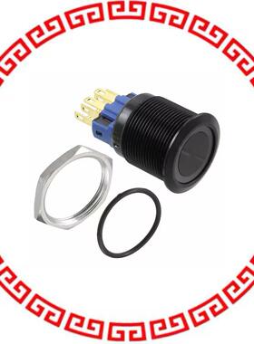 PV7F2Y011-3R4 SWITCH PUSHBUTTON DPST 2A 48V