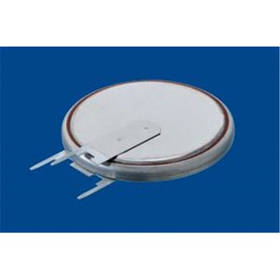 285mAh Cell PIN Coin Battery 24.5 CR2430RV VERT