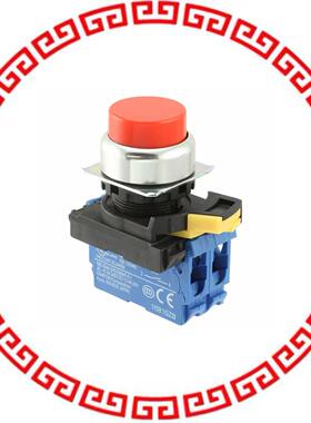 A22NN-RPM-NRA-G101-NN SWITCH PUSH DPST-NO 10A 12