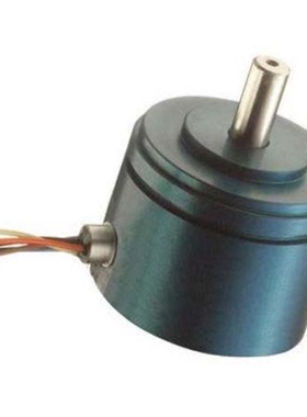 02560231-000《RVIT 60 degrees sens Sz 11 servo mt》