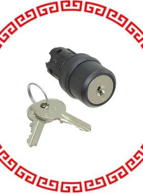 45-290K.1000.116 KEYLOCK SWITCH ACTUATOR 2 POSIT