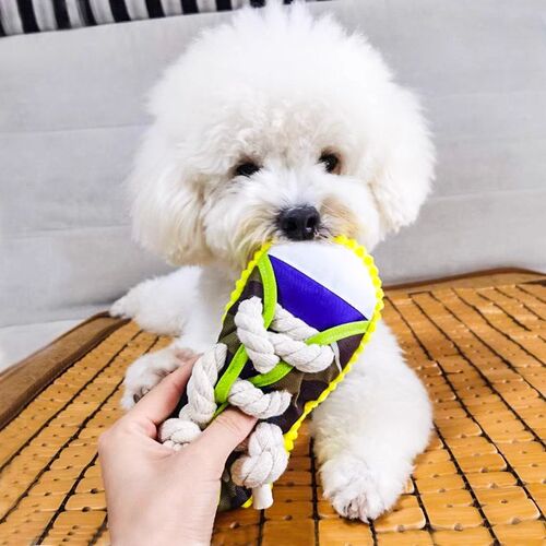 速发玩具发声拖鞋绳结耐咬幼牙磨犬比熊泰迪金自中大型犬毛嗨