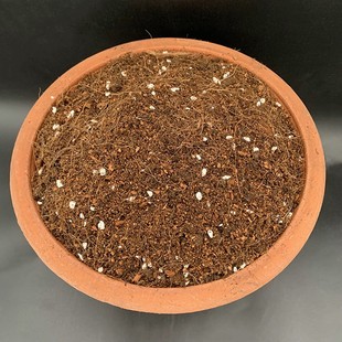 速发内门竹专用土酸性土壤沙质红土竹子土盆栽土种植土竹料肥机有