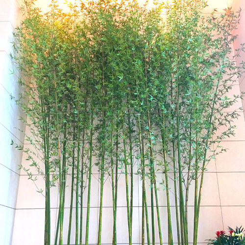 速发仿真竹子绿植物室内外台装饰造景人造大盆栽庭院假毛竹隔断挡