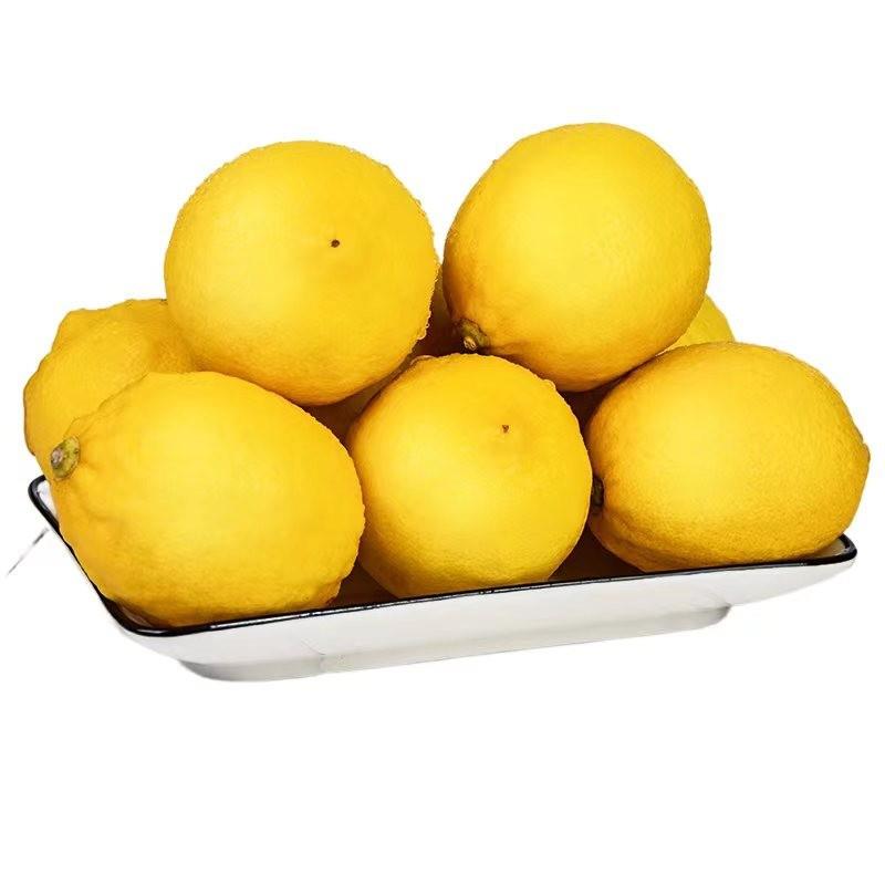 五斤装一级四川产地直发新鲜黄柠檬皮薄柠檬果奶茶当季新