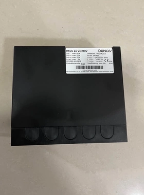 非标价冬斯DSLC Px Vx 燃气检漏仪议价