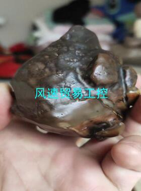 非标价戈壁老皮石皮色好小的706060大的10080议价