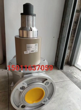 非标价SG65FS/220施能慢开电磁阀SG80FS/220议价