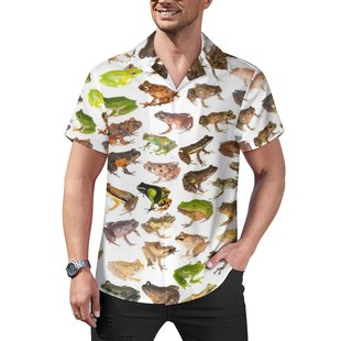 buckle 衬衫 printed sleevedshirt休闲系扣印花短袖 short Casual