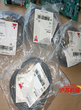 VP01EP 纯液位传感器，是CARLO  GAVA