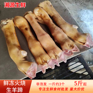 新鲜火烧羊蹄子清真散养带筋带骨生羊脚蹄商用生鲜冷冻食材