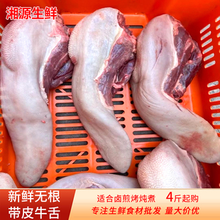 黄牛舌头新鲜黄牛无根带皮牛舌整根无骨牛口条牛杂火锅烧烤食材