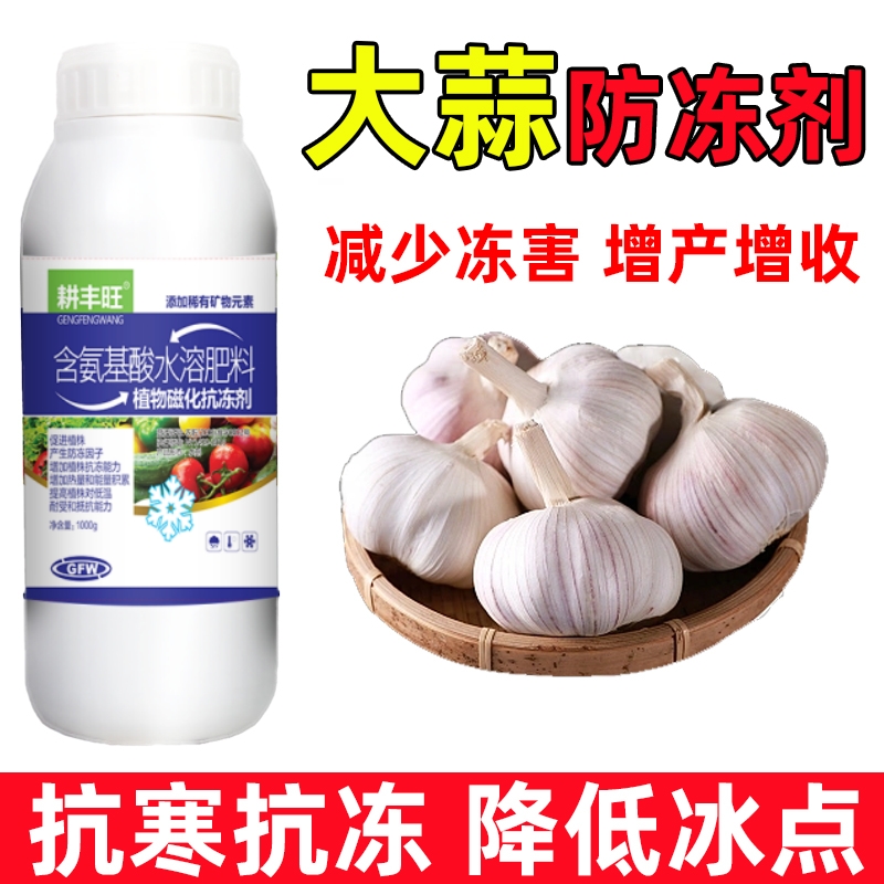 耕丰旺大蒜防冻剂大蒜防寒抗冻剂