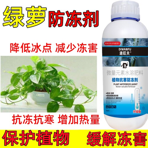 绿萝防冻剂防冻液绿萝防寒