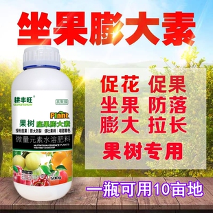 果树坐果膨大素苹果柑橘桃梨龙眼荔枝葡萄座果精果树膨大座果增产