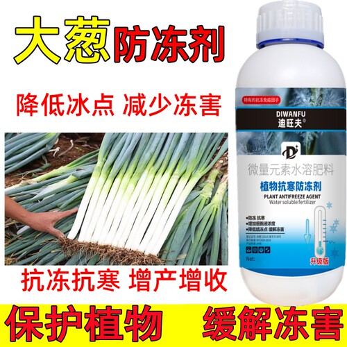 大葱防冻剂防冻液大葱防寒